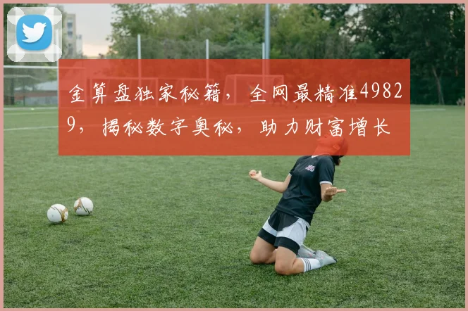 金算盘独家秘籍，全网最精准49829，揭秘数字奥秘，助力财富增长