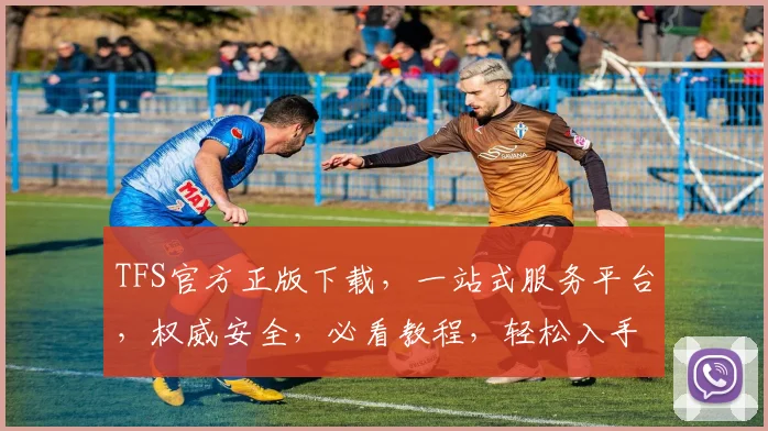 TFS官方正版下载，一站式服务平台，权威安全，必看教程，轻松入手