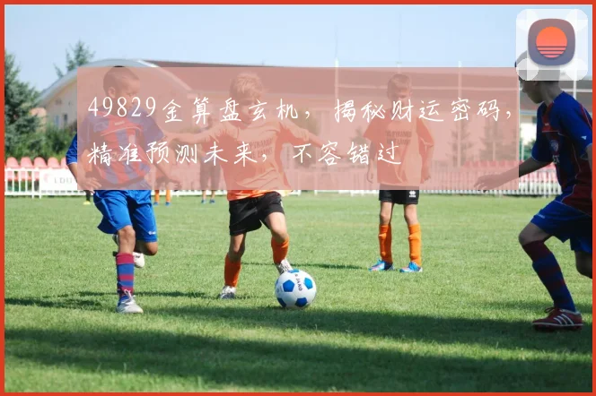 49829金算盘玄机，揭秘财运密码，精准预测未来，不容错过