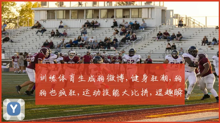训练体育生成狗微博,健身狂潮,狗狗也疯狂,运动技能大比拼,逗趣瞬间大公开